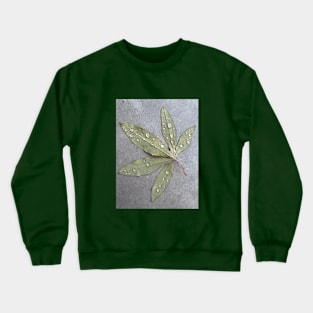 Wet passiflora leaf Crewneck Sweatshirt